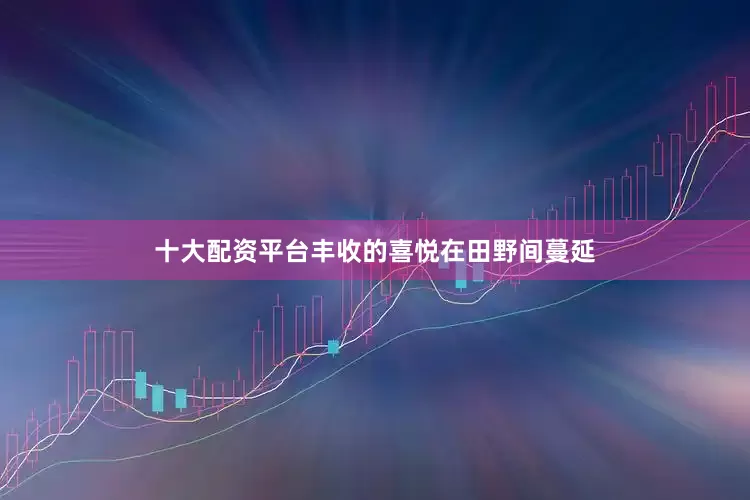 十大配资平台丰收的喜悦在田野间蔓延
